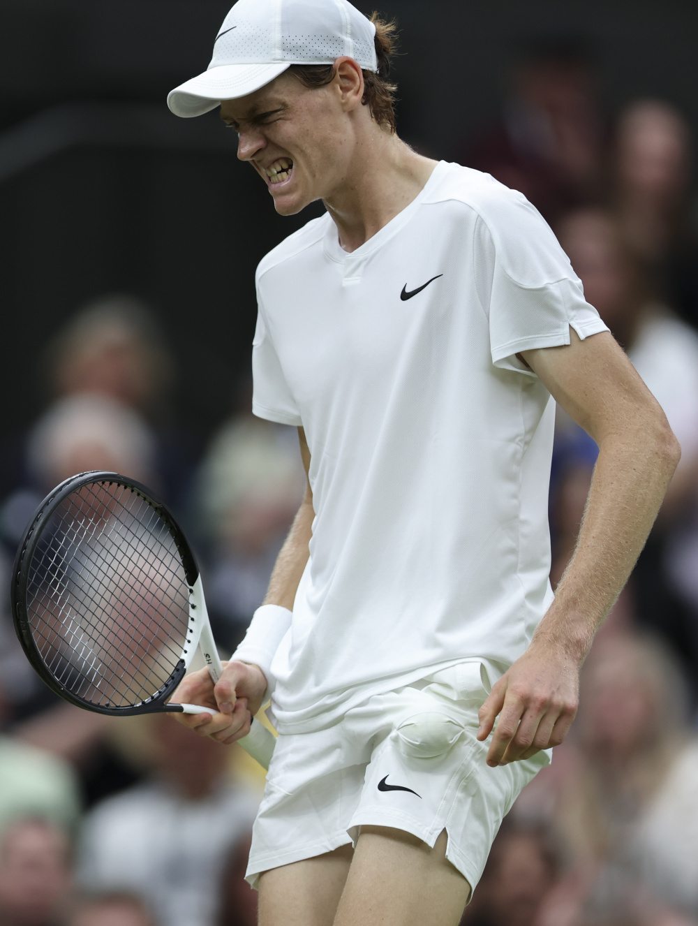 巴塞罗那采 巴塞罗那采